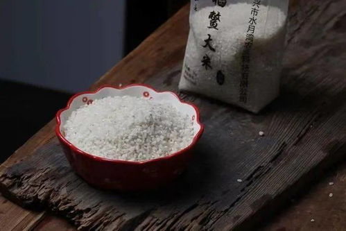 走,到进口城赶集去
