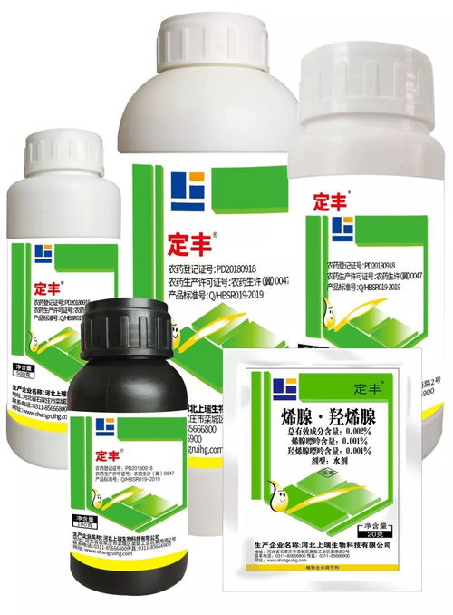 定丰r 专业解决落花落果,提高花芽质量,强力坐果,丰产又丰收 果实