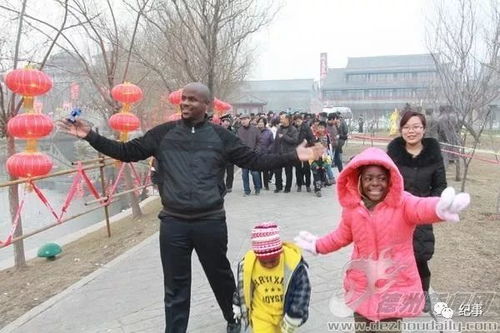 老外看花灯,直赞 太美了