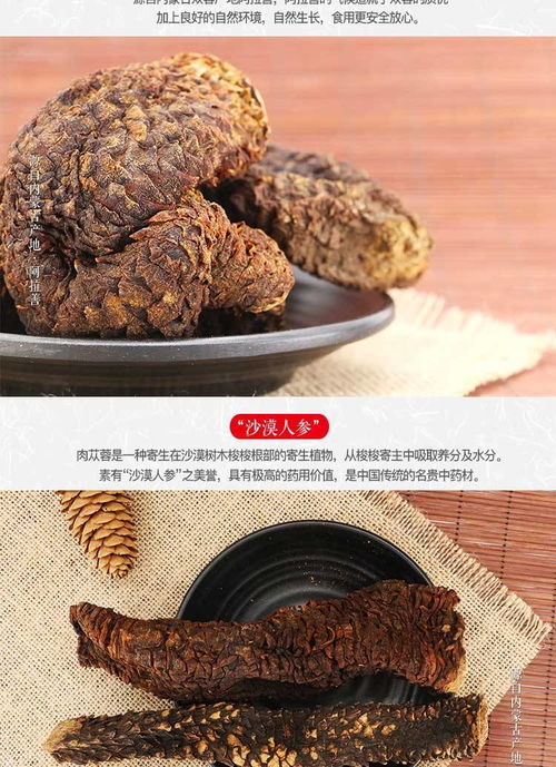 天然 锁严子 500g 来自大自然的馈赠 罐装整根 助农产品