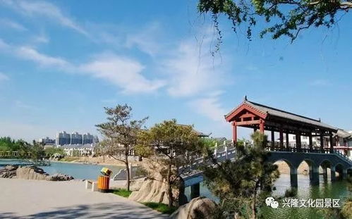 山东带州的城市有哪些