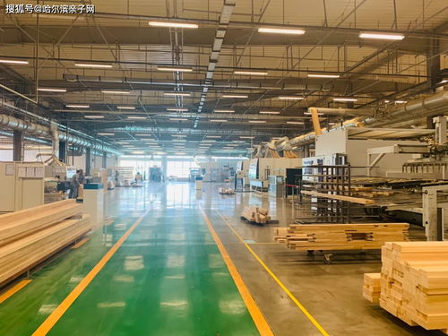 哈尔滨亲子网 9月19日走进世界最大的被动式工厂