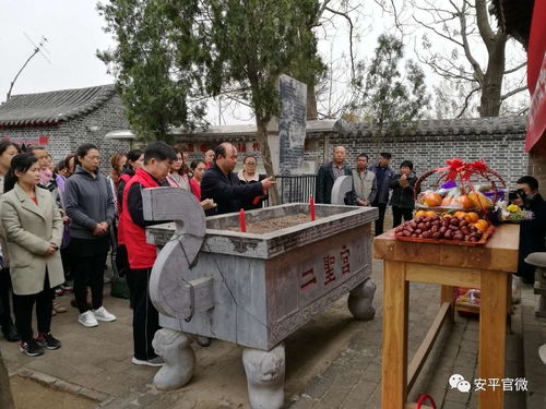 安平县国学堂到董子故里祭拜董子