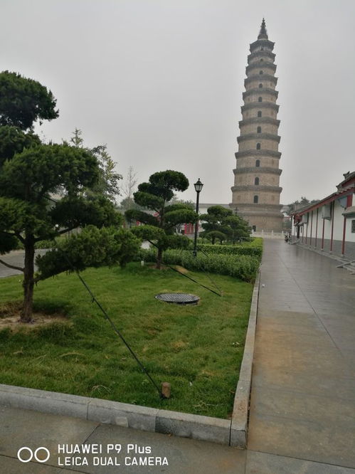 你在我梦里