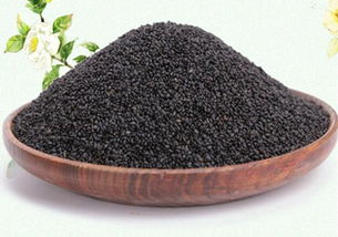 明列子（兰香子）的功效、作用与食用方法详解